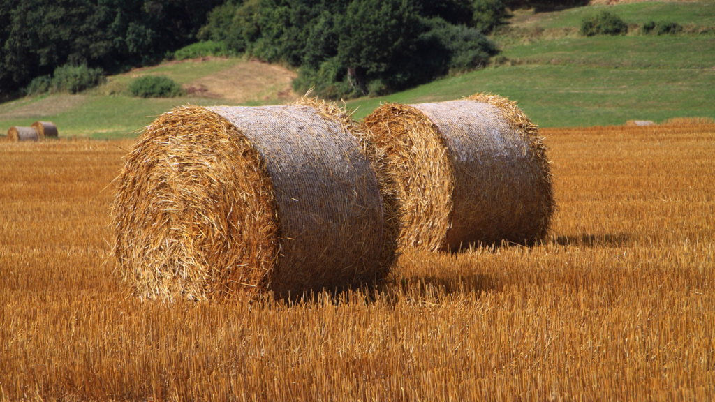 Silofolien & Garn erntegaren