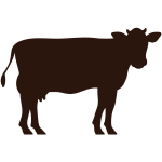 färse (1024 x 1024 px) färse (1024 x 1024 px)