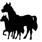 fohlen mit stutte1024 x 1024 px)