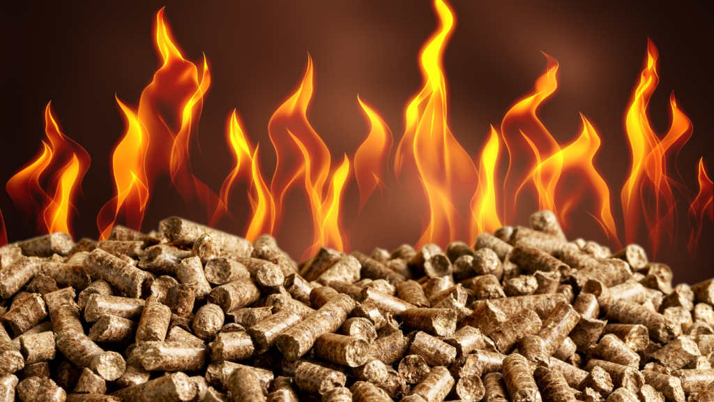 Holzpellets 1024x576