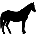 pferd 1024 x 1024 px)