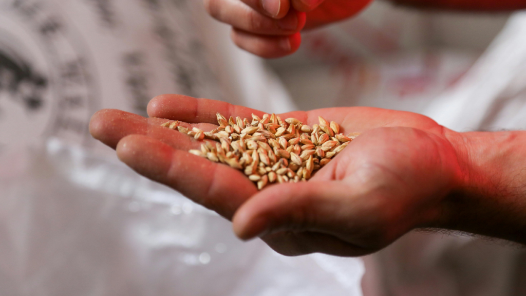 Dünger Saatgut 1024x576