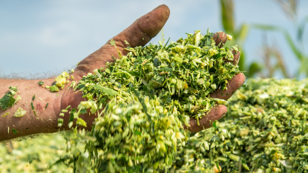 Silage Silage 1024x576