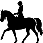 sportpferde024 x 1024 px)