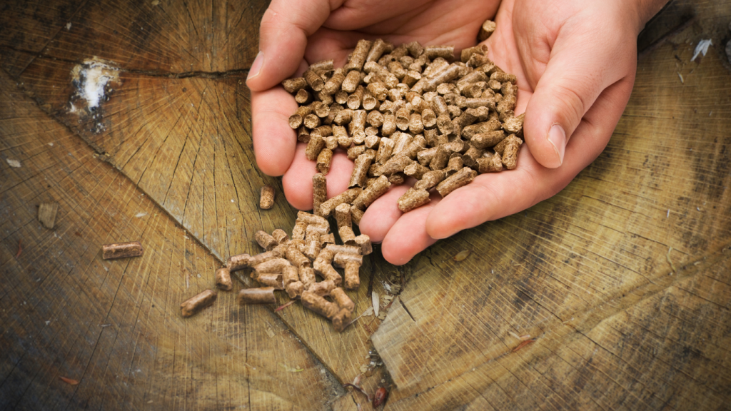 holzpellets in der hand holzpellets in der hand